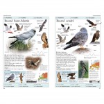 Oiseaux de France et d'Europe - Книга на френски език