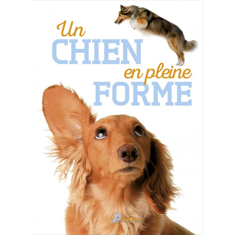 Un chien en pleine forme - Книга на френски език с твърди корици Un chien en pleine forme - Книга на френски език с твърди корици