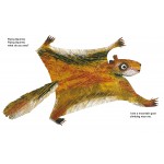 Baby Bear, Baby Bear, What do you See? - Книга на английски език с твърди корици