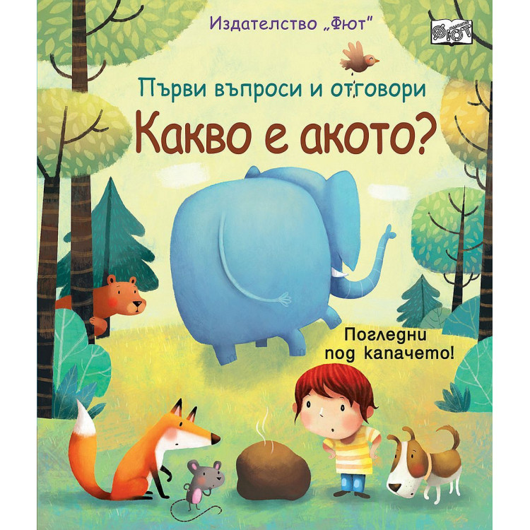 Първи въпроси и отговори: Какво е акото? Първи въпроси и отговори: Какво е акото?