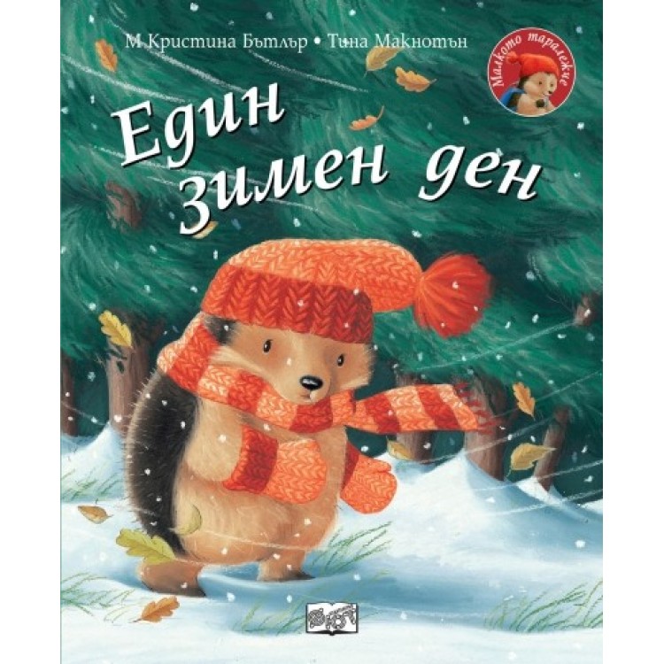 Един зимен ден