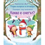Първи въпроси и отговори: Какво е снегът?