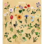 Je découvre les arbres et les fleurs: En dessinant et colorant - Книга на френски език 