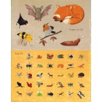 Les animaux de la campagne : Mon livre d'activités pour le printemps - Книга на френски език с твърди корици