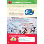 Cahier de vacances , du CM1 vers le CM2 9-10 ans - Vacances vertes