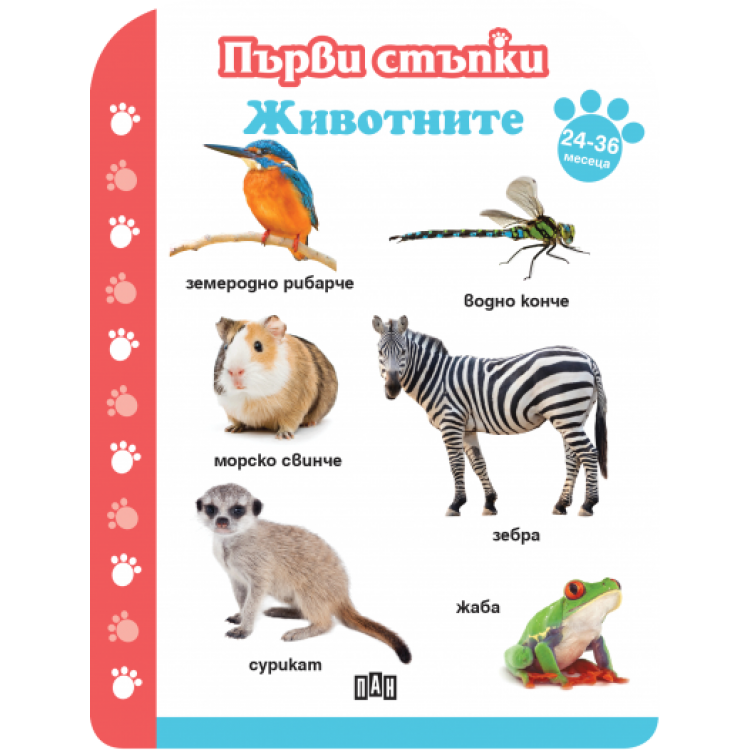 Първи стъпки. Животните 24-36 месеца