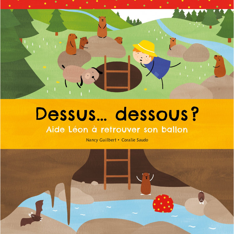 Dessus... dessous ? Album - Книга на френски език