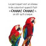 Les animaux de compagnie Album - Книга на френски език Les animaux de compagnie Album - Книга на френски език