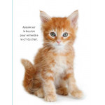 Les animaux de compagnie Album - Книга на френски език Les animaux de compagnie Album - Книга на френски език