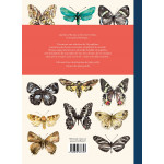 Papillons de A à Z 
