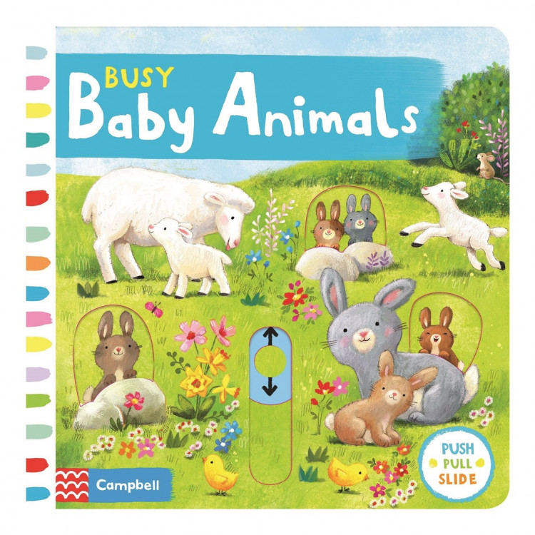 Busy Baby Animals - Книга на английски език