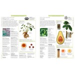 Encyclopedia Of Herbal Medicine: 550 Herbs and Remedies for Common Ailments - Книга на английски език