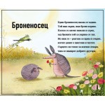 Дива симфония Дива симфония