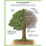 L'imagerie de la forêt - Книга на френски език с твърди корици