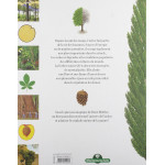 Le grand livre de l'arbre et de la forêt Relié