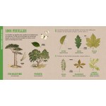 Deyrolle : Le Chêne et autres grands arbres - Книга на френски език