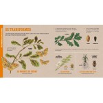 Deyrolle : L'abeille et autres petits insectes - Книга на френски език
