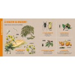 Deyrolle : L'abeille et autres petits insectes - Книга на френски език