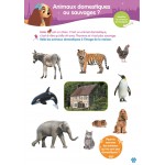 Cahier de vacances - De la Moyenne à la Grande Section - Книга на френски език Cahier de vacances - De la Moyenne à la Grande Section - Книга на френски език
