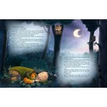 Piet l'écureuil et le royaume de la forêt - Книга на френски език