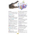 Larousse dictionnaire des débutants 6/8 ans CP/CE 