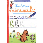 Mon premier cahier d'écriture: Les lettres minuscules - Dès 4 ans Mon premier cahier d'écriture: Les lettres minuscules - Dès 4 ans